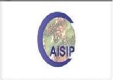 C A Caisip Bignay Tea